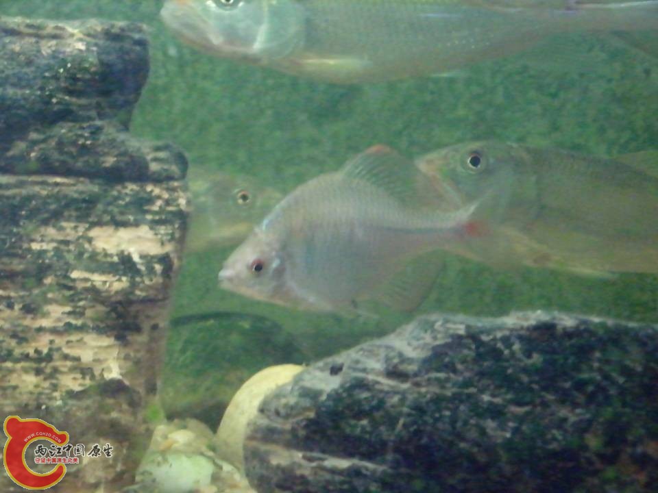 QQ图片20131122203705.jpg