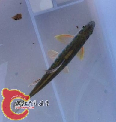 QQ图片20131124205745.jpg