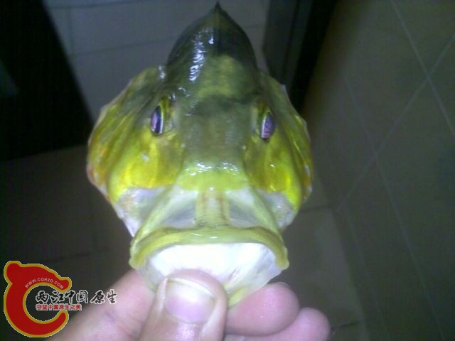 QQ图片20131126102416.jpg