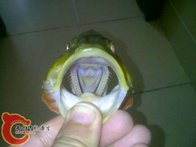 QQ图片20131126102426.jpg
