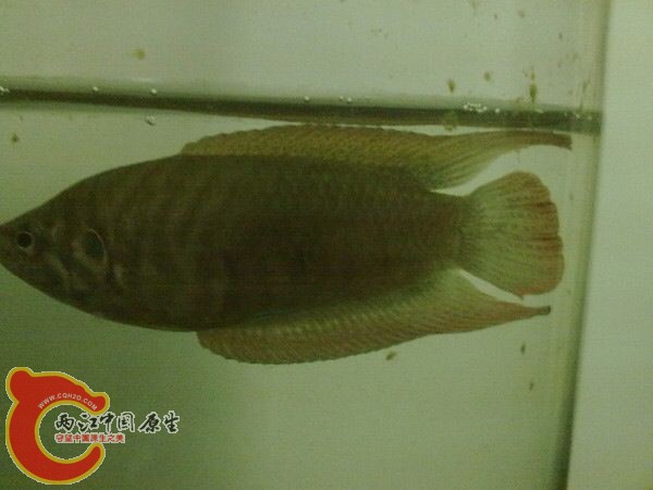 QQ图片20131126102434.jpg