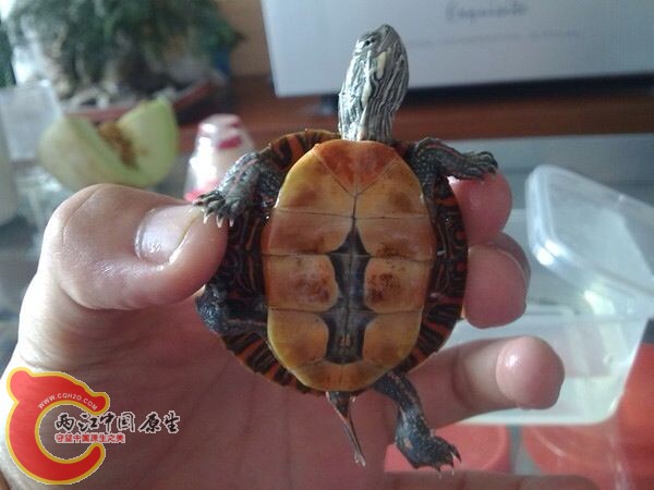 QQ图片20131126102441.jpg