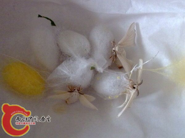 QQ图片20131126102444.jpg
