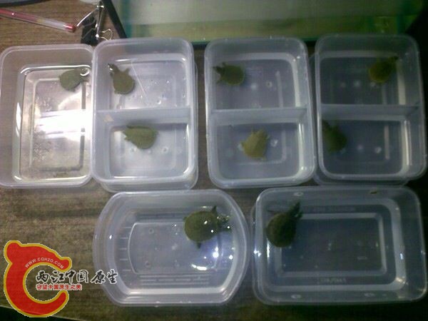 QQ图片20131126102501.jpg