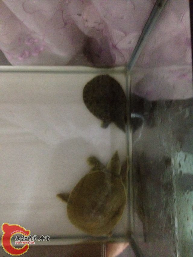 QQ图片20131126102517.jpg
