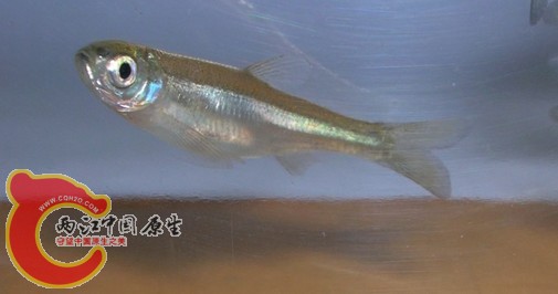 QQ图片20131126124722.jpg