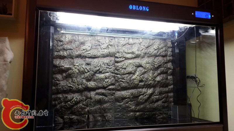 20131113_005526.jpg