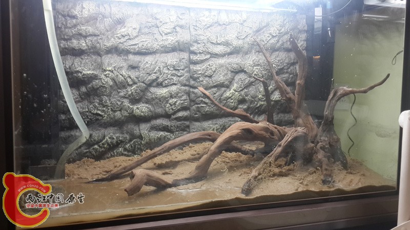 20131120_001337.jpg