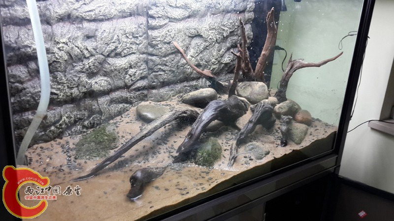 20131120_235527.jpg