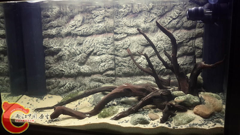 20131122_003909.jpg