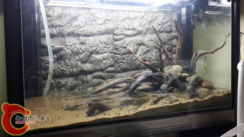 20131121_000452.jpg