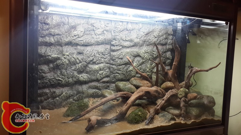 20131120_015532.jpg