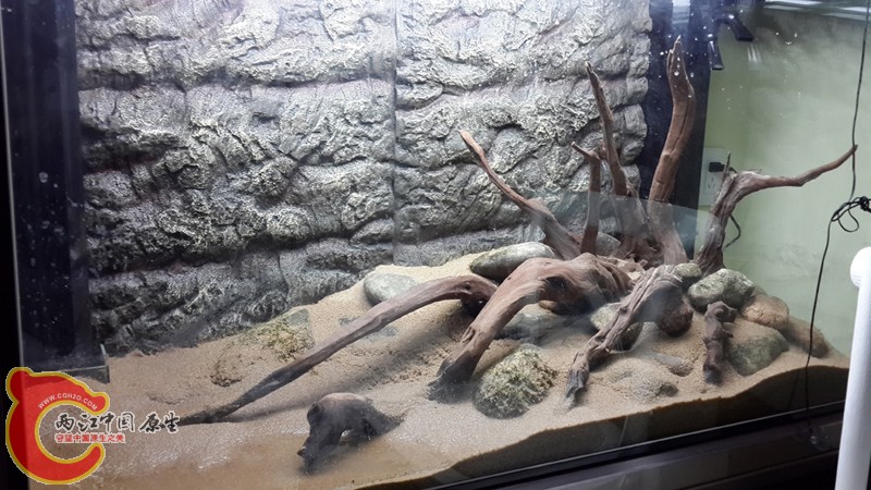 20131120_222746.jpg