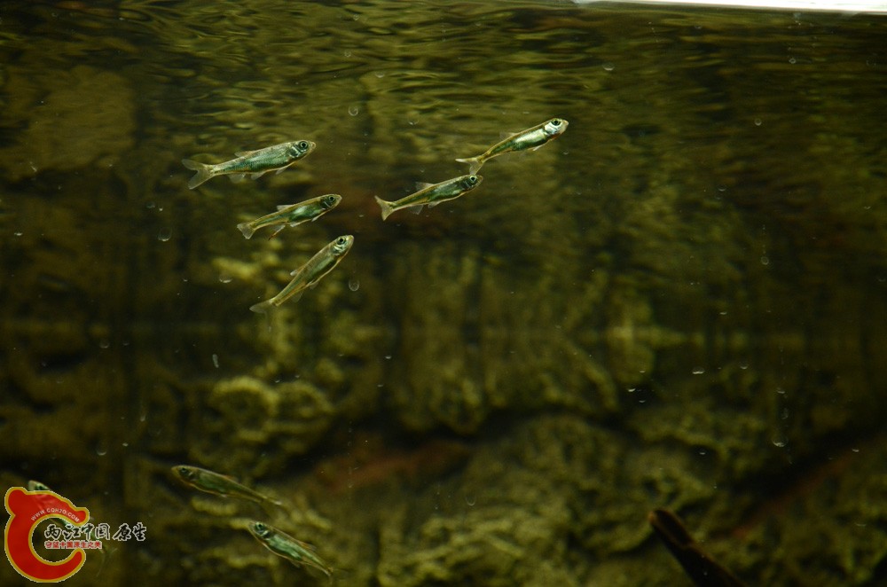 DSC_4545.jpg