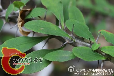 e895895bjw1eazwmeu6s7j21kw11xdmo.jpg