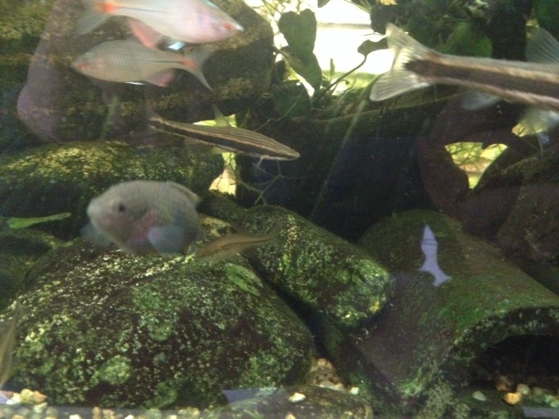 20131130153708_50597.jpg