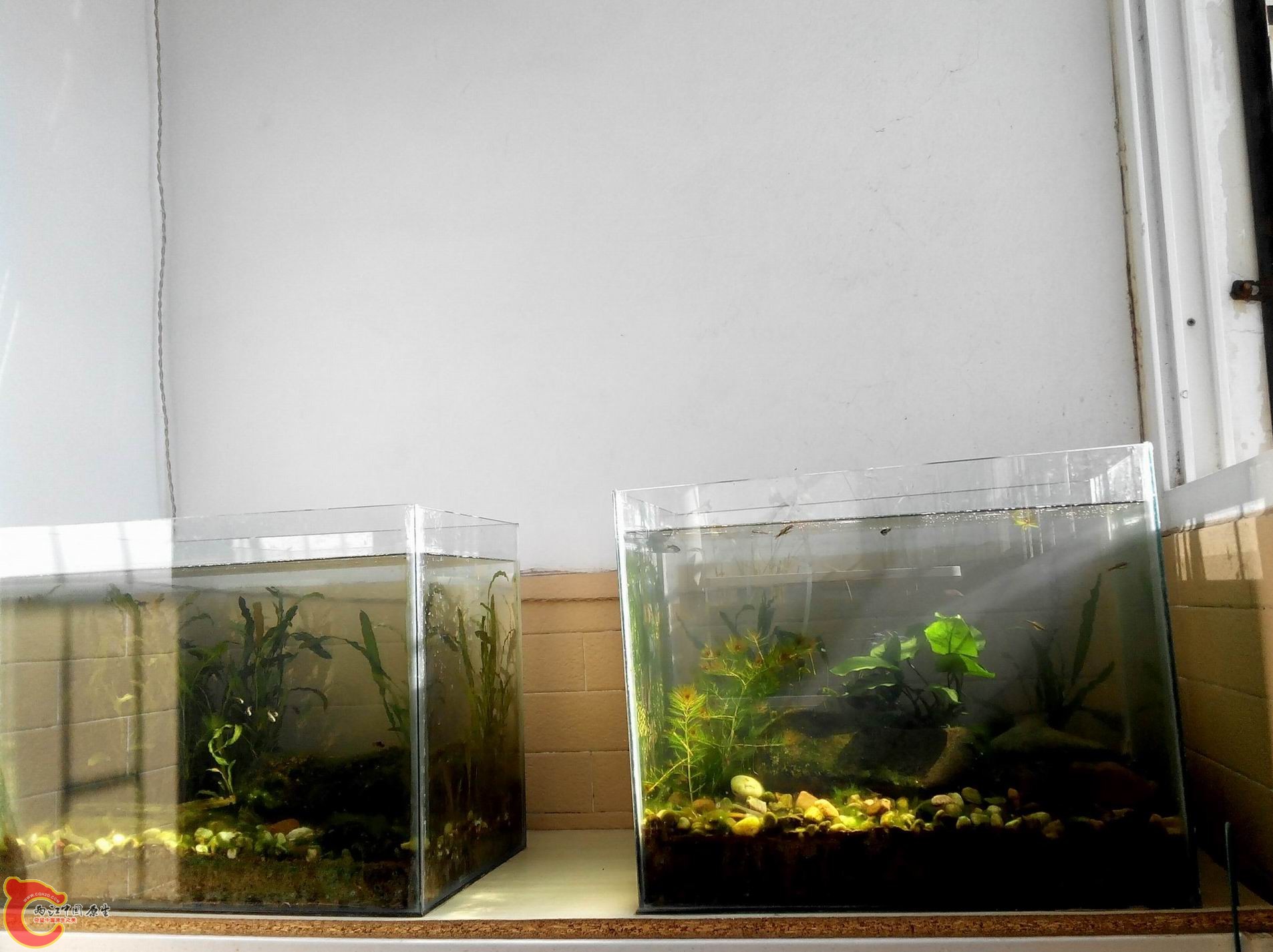 20131129113010-1.jpg