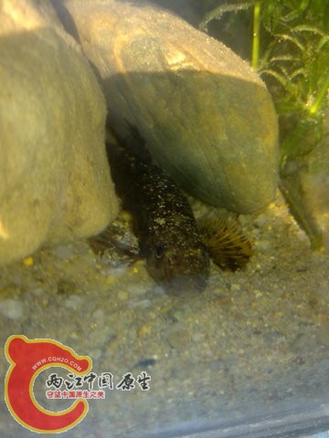 201311303114.jpg