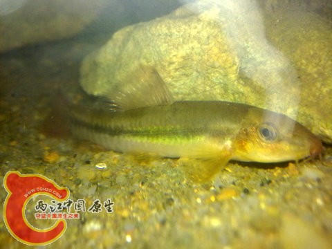 201311303123.jpg