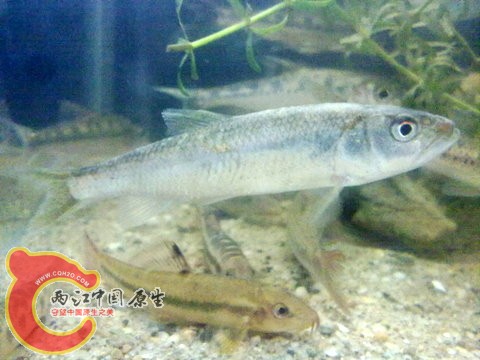 201312013127.jpg
