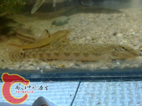 201312013128.jpg