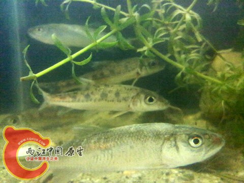 201312013129.jpg
