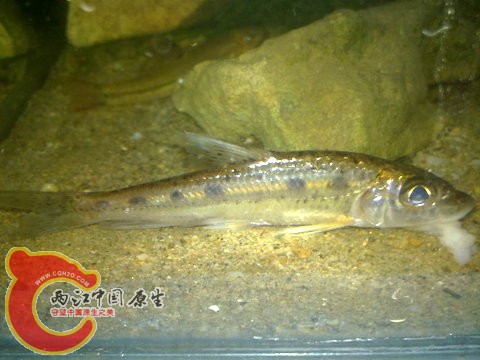 201312013133.jpg