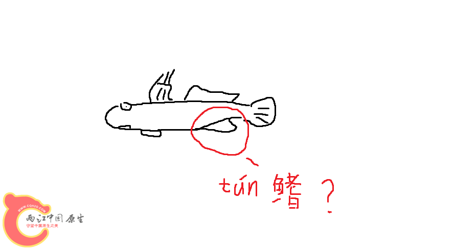 无标题.png