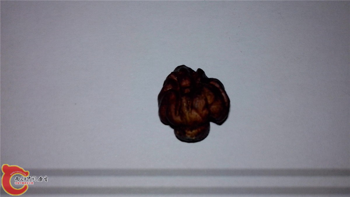 IMG_20131203_211509.jpg