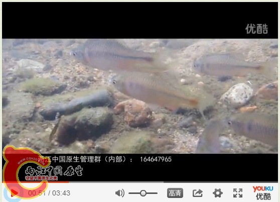 QQ截图20131204182320.jpg