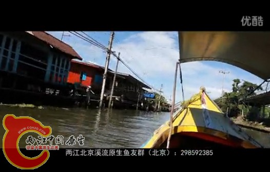 溪流原生群.jpg