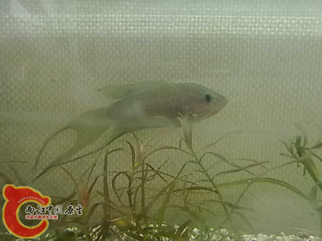 20131205480.jpg