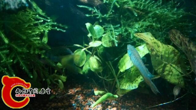 IMG_20131203_223648.jpg