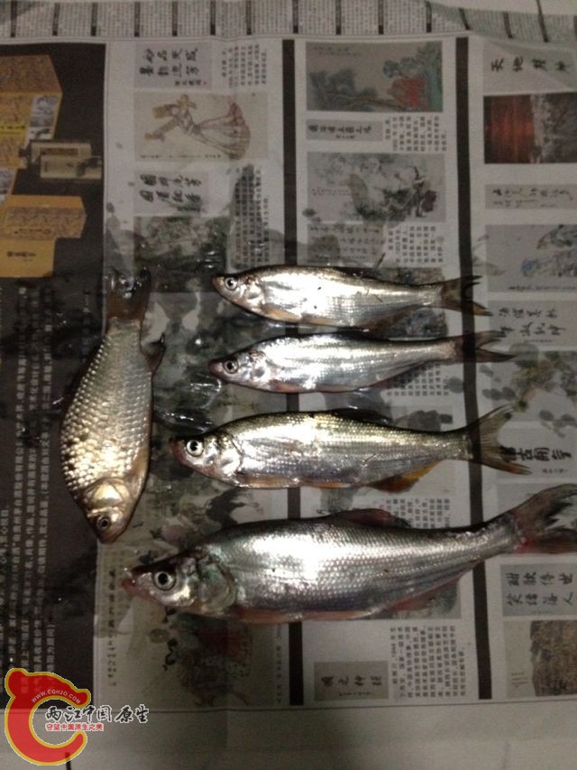 QQ图片20131208135616.jpg