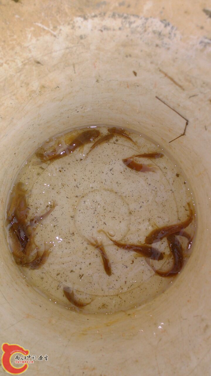 QQ图片20131208191531.jpg