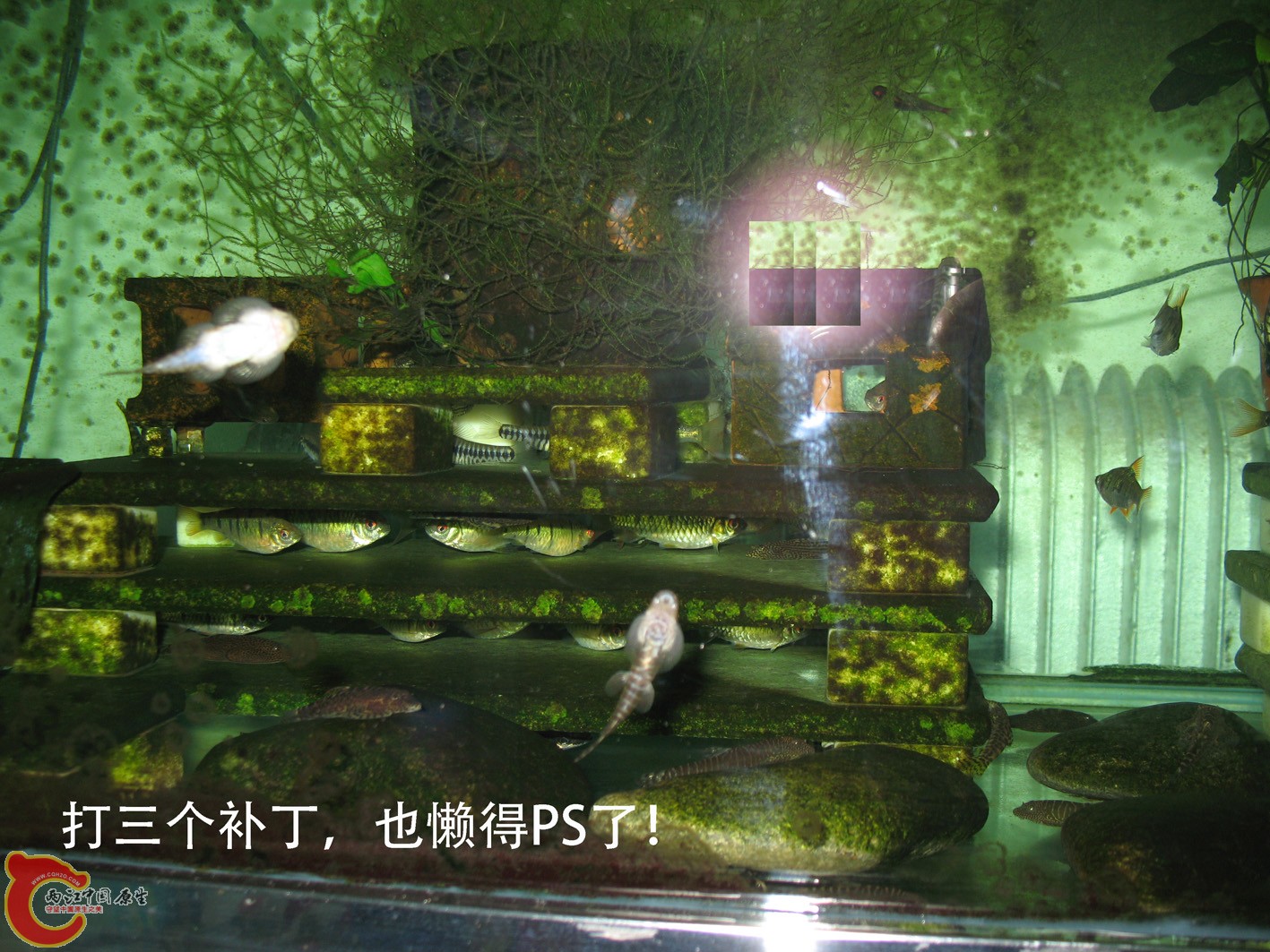 IMG_9960.JPG