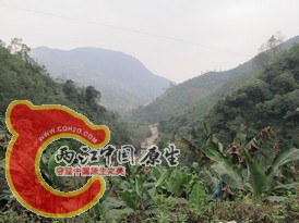 ksk001.jpg