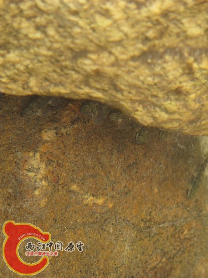 ksk070.jpg