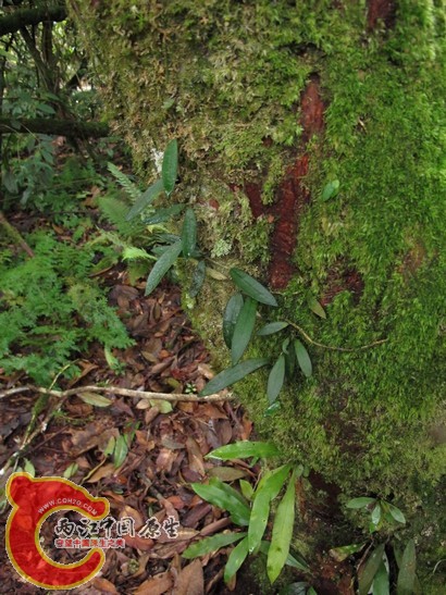 ksk084.jpg