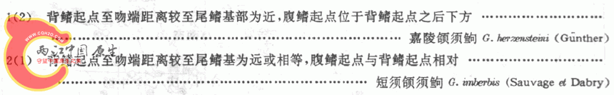 种的检索