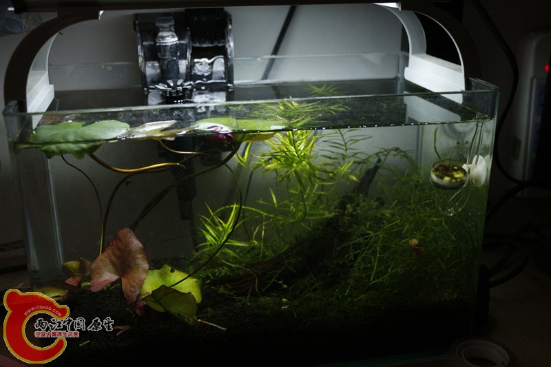 asdfghjk 025_副本.jpg