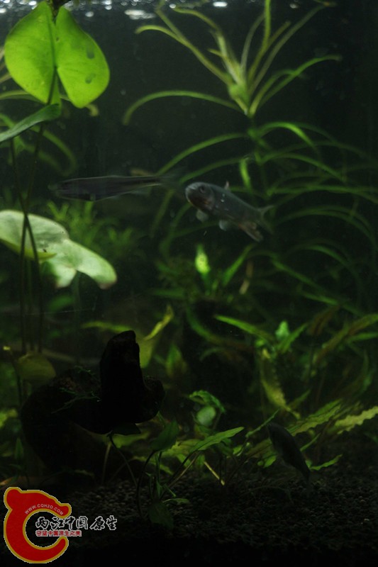 asdfghjk 005_副本.jpg