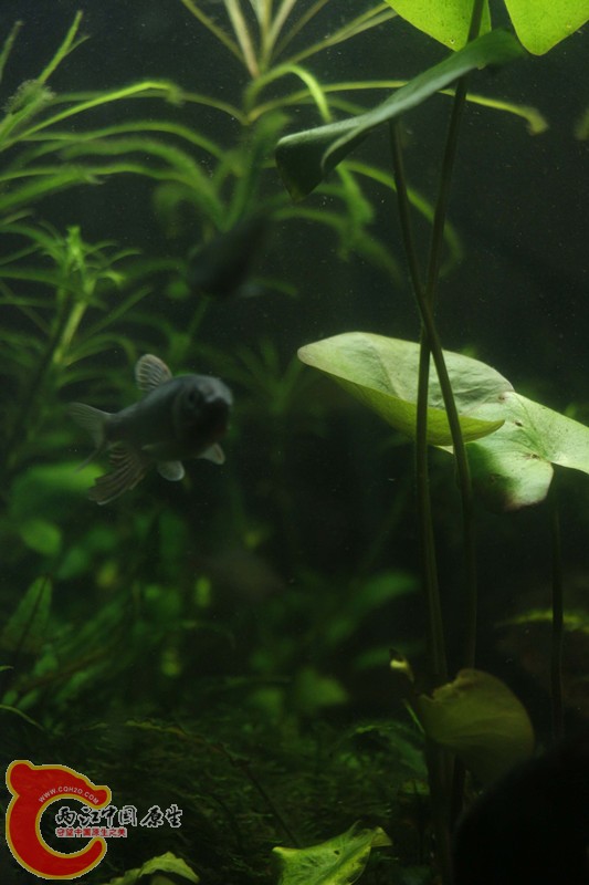 asdfghjk 009_副本.jpg