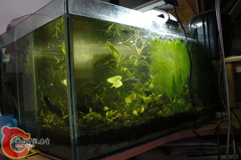 asdfghjk 010_副本.jpg