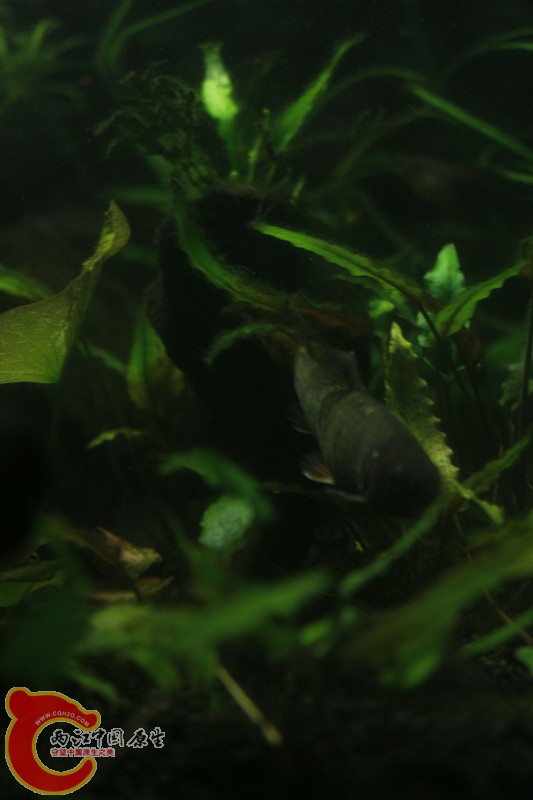 asdfghjk 013_副本.jpg