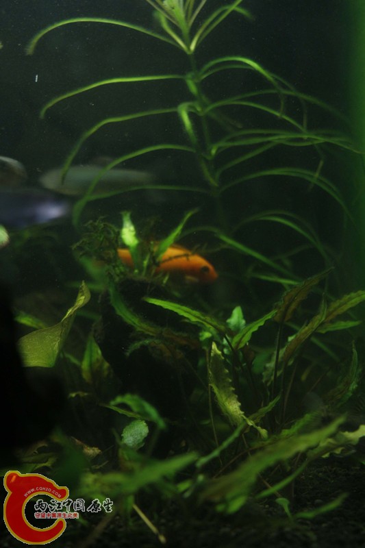 asdfghjk 015_副本.jpg