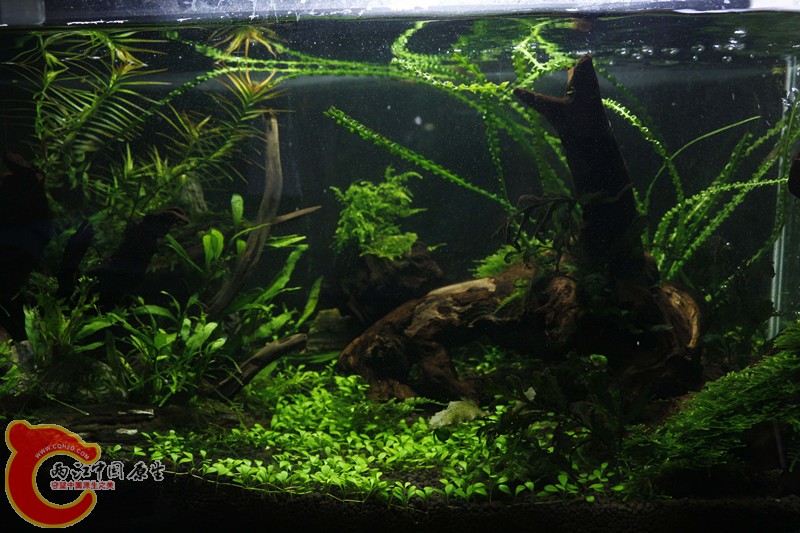 asdfghjk 027_副本.jpg