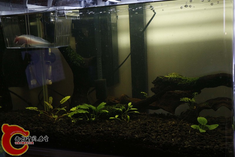 asdfghjk 029_副本.jpg