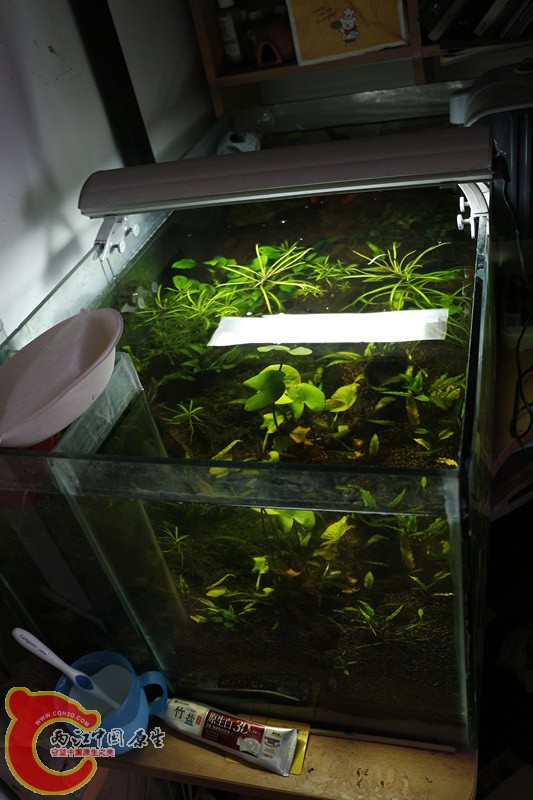 asdfghjk 024_副本_副本.jpg