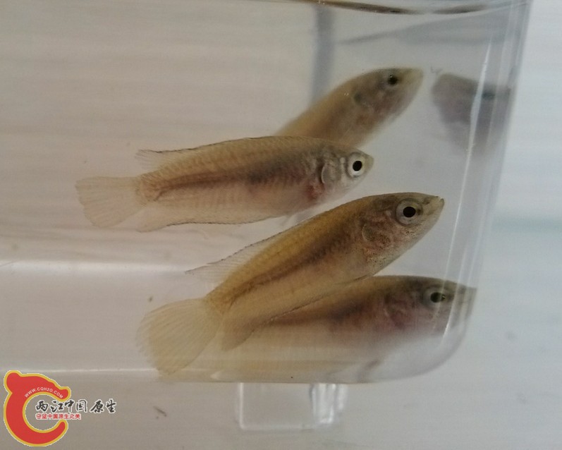 QQ图片20131223190417.jpg
